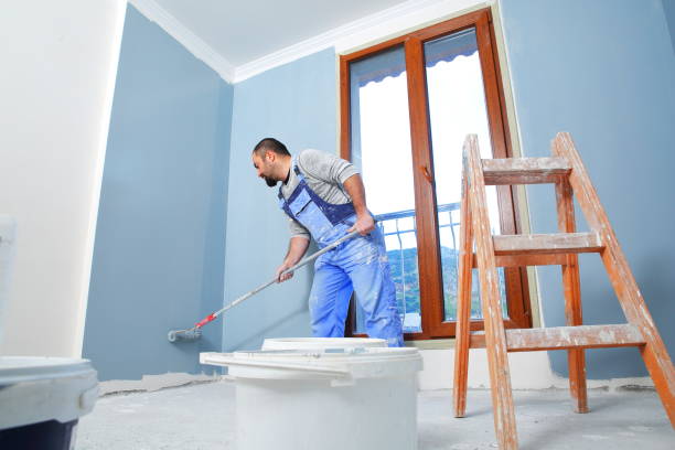 Best Basement Mold Removal  in Pinson, AL