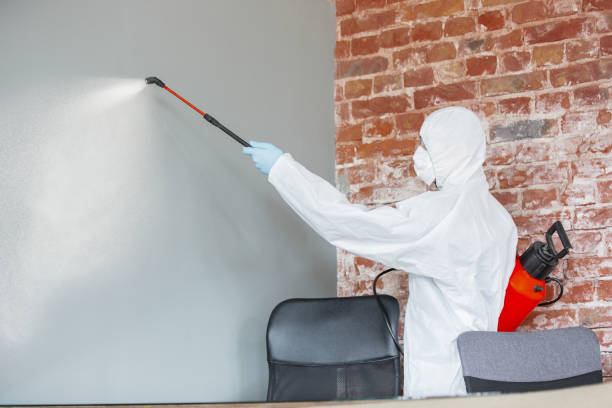 Best Emergency Mold Remediation  in Pinson, AL