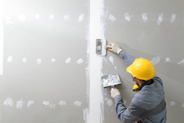 Best Asbestos and Lead Testing During Mold Inspection  in Pinson, AL
