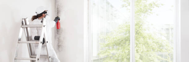 Best Biohazard Mold Removal  in Pinson, AL