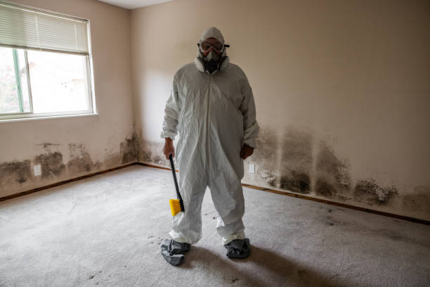 Best Attic Mold Removal  in Pinson, AL